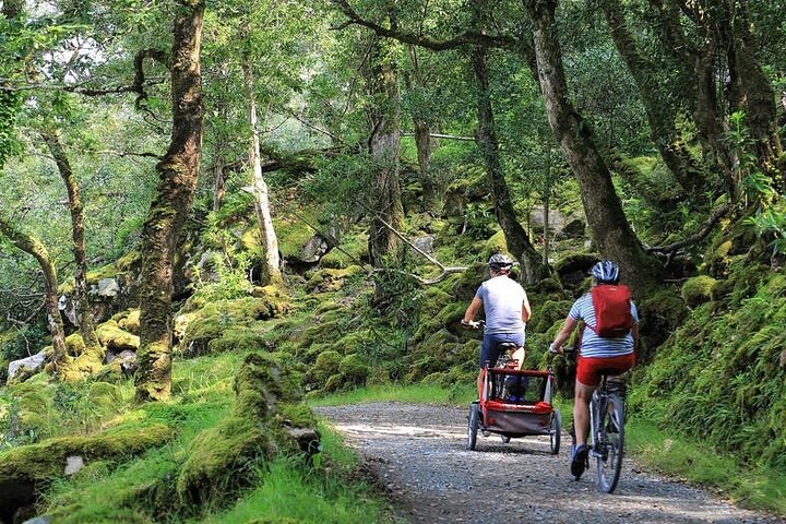 eBiking Glenveagh National Park. Donegal. Self guided. 3 hours.