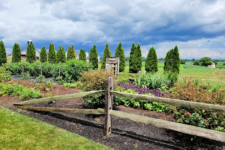 Unique Amish Immersion in Lancaster