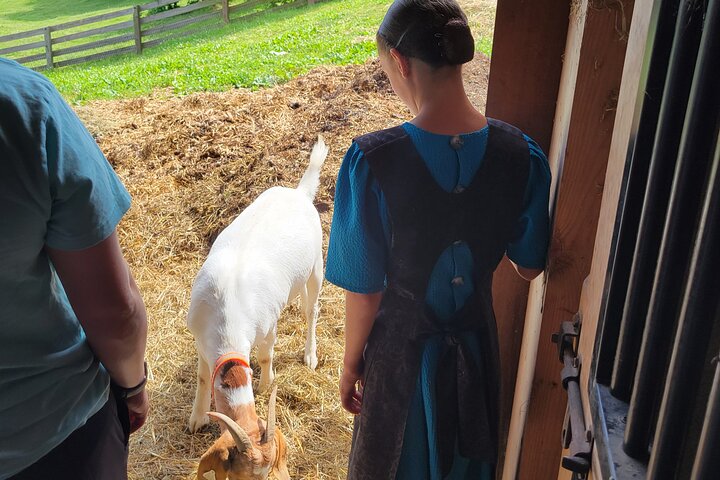 Unique Amish Immersion in Lancaster