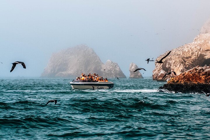 2 Day Tour from Lima: Paracas, Ballestas Island and Huacachina