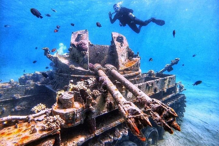 Private Diving Experience in The Heart of Red Sea in Aqaba
