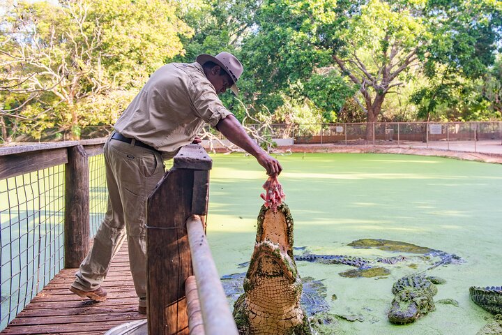 Malcolm Douglas Crocodile Park Tour Including Transportation