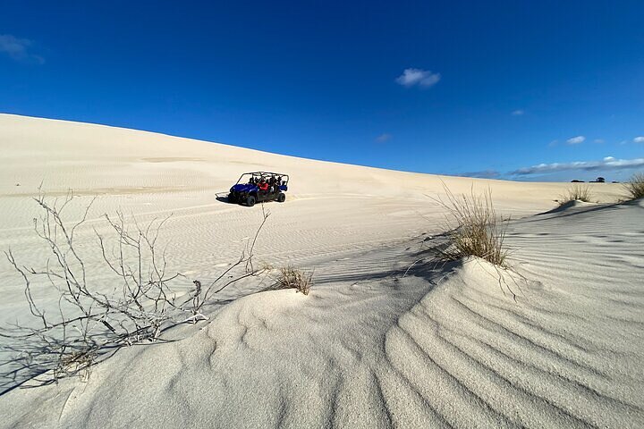 Small-Group Buggy Tour at Little Sahara with Guide