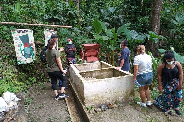 Full-Day Hiking Tour in Minca with coffee & Cocoa Workshop