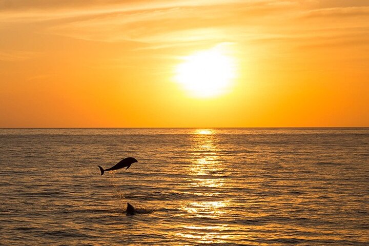 Ibiza Beach Hopping Cruise with Paddleboards, Drinks and Food 6h