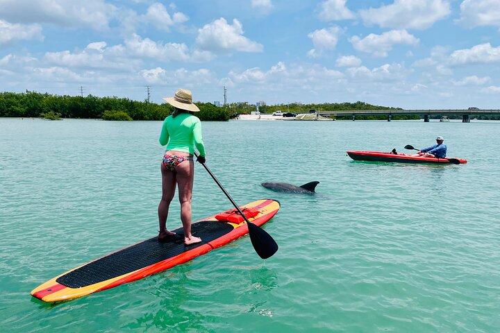 Dolphin and Manatee Adventure Tour of Fort Myers