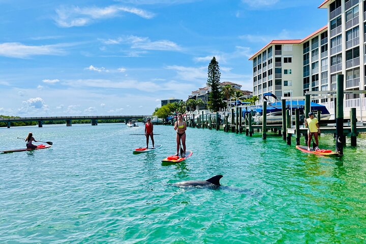 Dolphin and Manatee Adventure Tour of Fort Myers