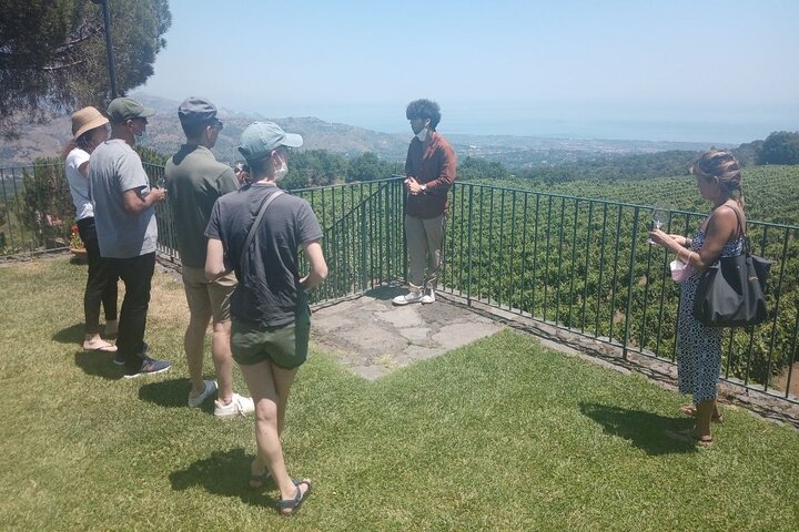 Private 6-Hour Tour of Three Etna Wineries with food&wine tasting
