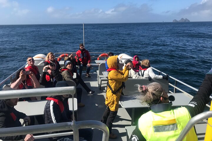 Boat Tour in Vestmannaeyjar