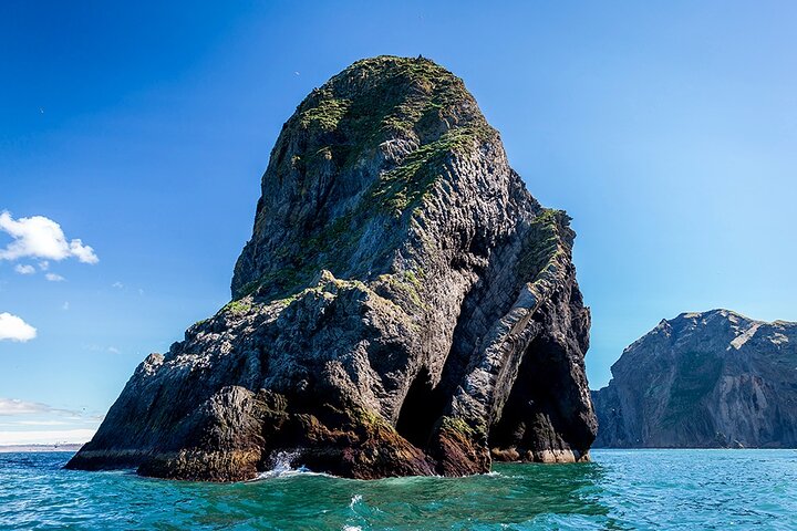 Boat Tour in Vestmannaeyjar