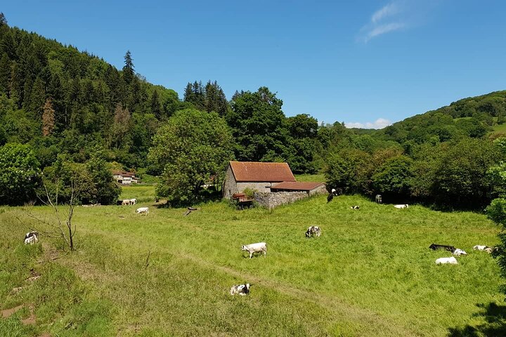 The Valleys tour or Swansea Bay tour. Please choose correctly.