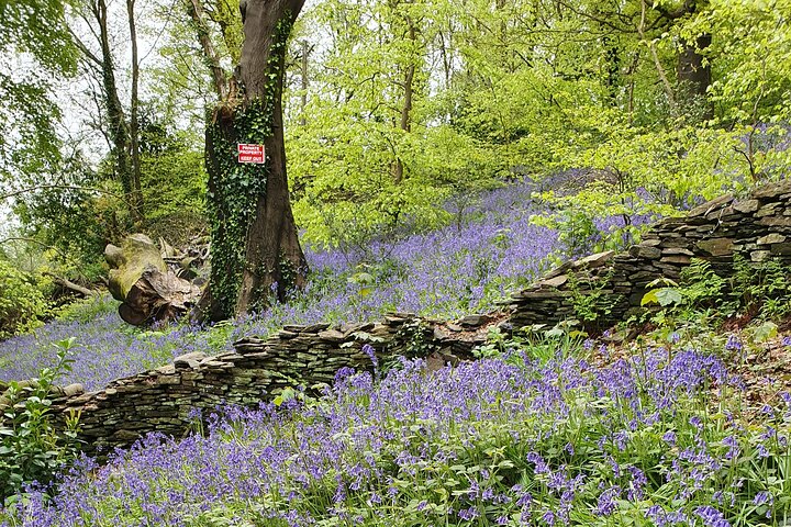The Valleys tour or Swansea Bay tour. Please choose correctly.