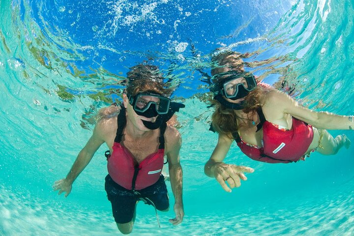Kayak & Snorkel with Sea Turtles, National Park, St. John