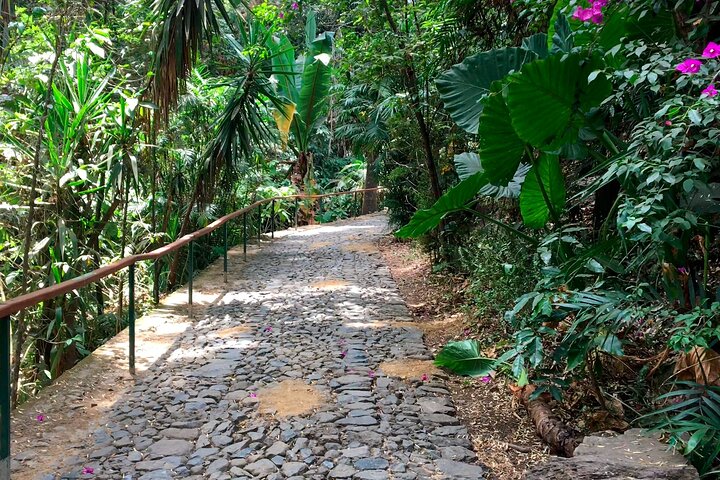 Uruapan Tour