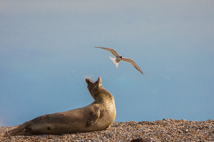 Norfolk Tour App, Hidden Gems Game and Big Britain Quiz (7 Day Pass) UK