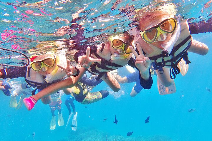 Half-Day Snorkeling Experience in the Kerama Islands from Naha