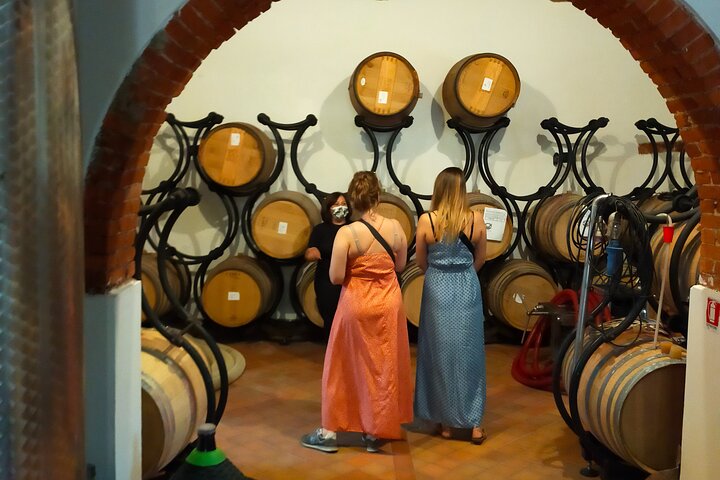 Private wine tour on the magical hills of Lucca with sommelier