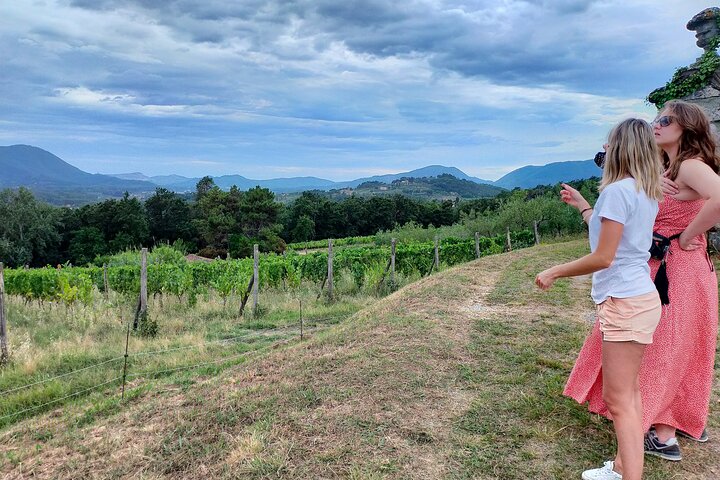 Private wine tour on the magical hills of Lucca with sommelier
