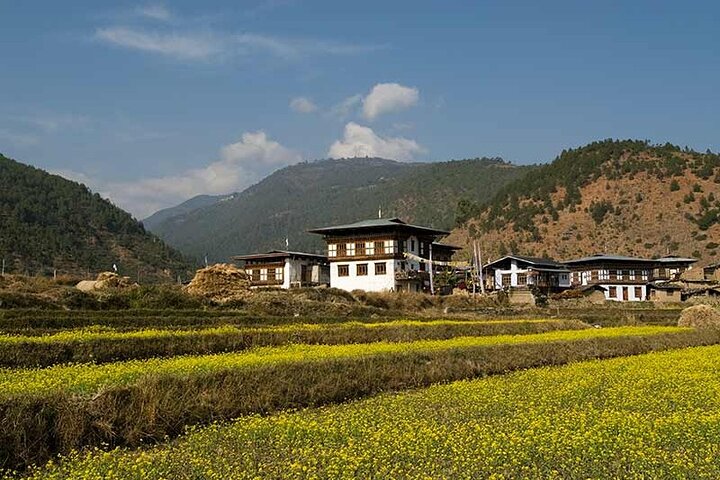 Discover Bhutan in 4 Days