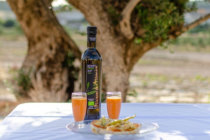 Visit to the oil mill with EVOO experiences in Cuenca