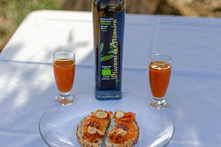Visit to the oil mill with EVOO experiences in Cuenca