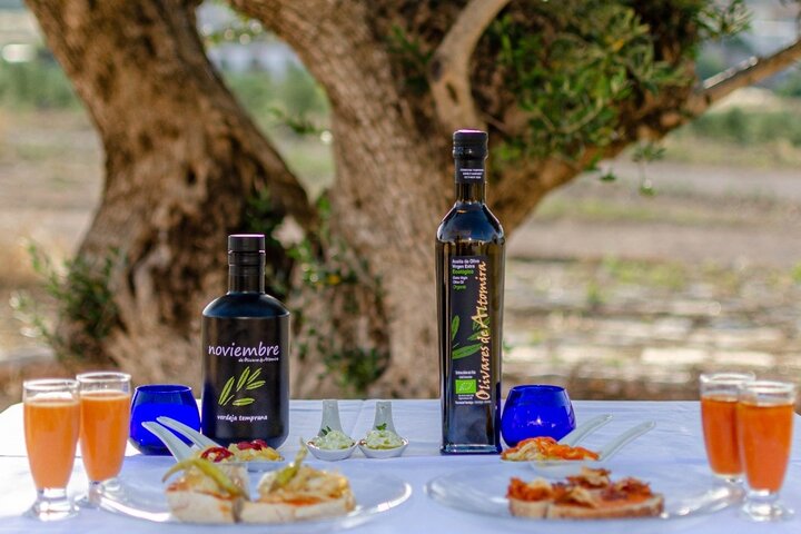 Visit to the oil mill with EVOO experiences in Cuenca