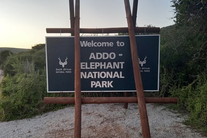 Addo Elephant Park multi-day Photo Safari