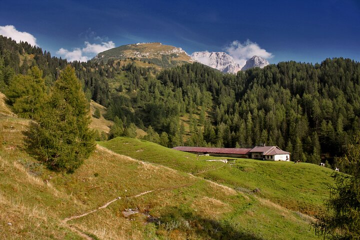 Day Hike in the Brenta Dolomites from Madonna di Campiglio