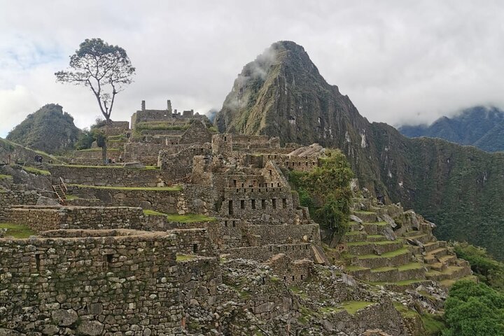 Full-Day Machu Picchu Tour from Cusco by Train