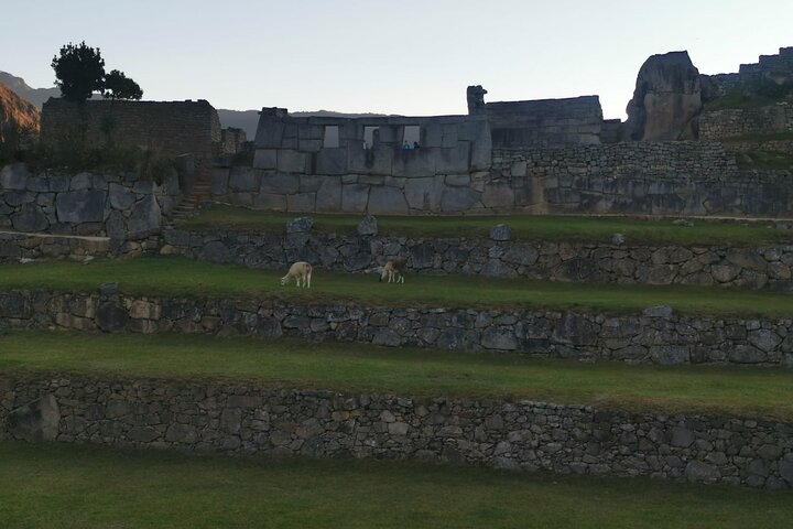 Full-Day Machu Picchu Tour from Cusco by Train
