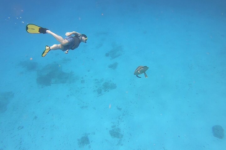 Snorkeling Gear Rental