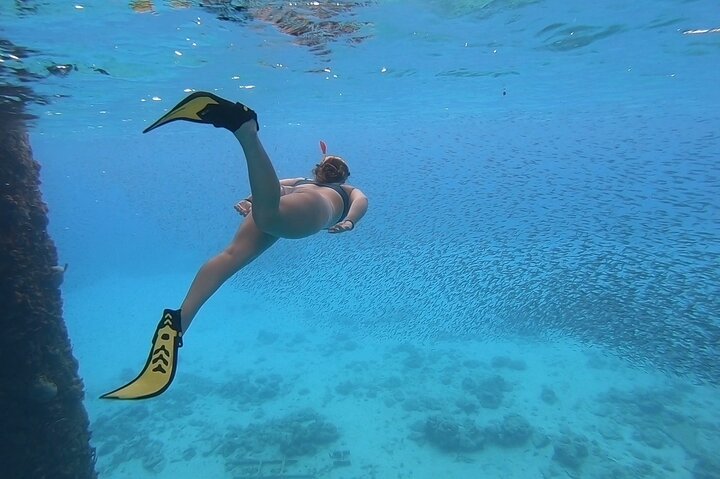 Snorkeling Gear Rental