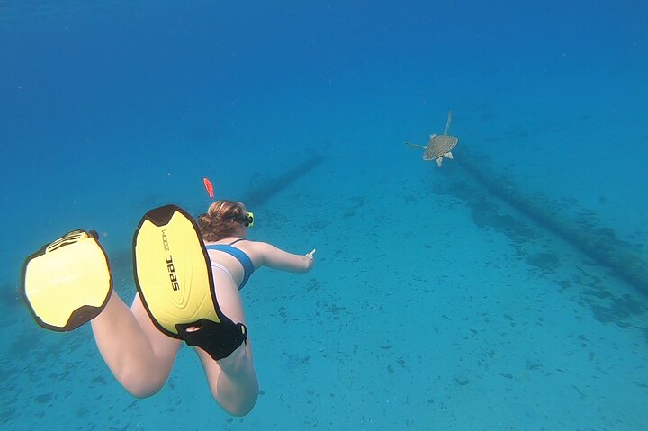 Snorkeling Gear Rental