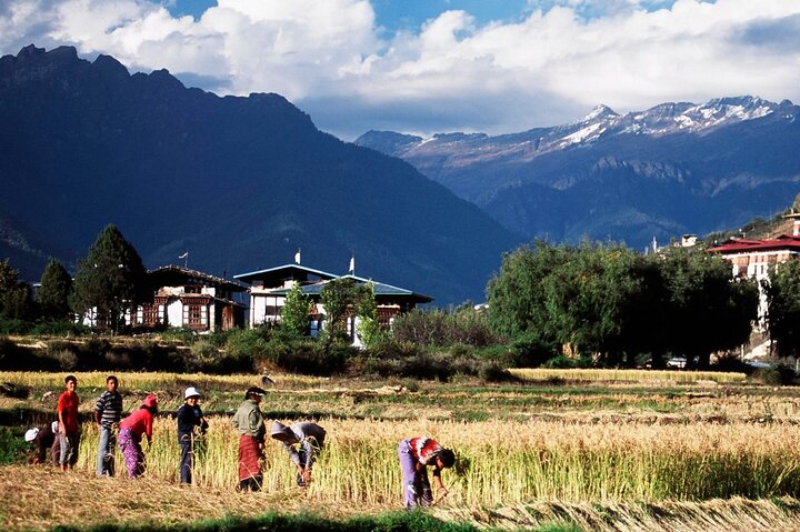 Himalayan Odyssey Tour