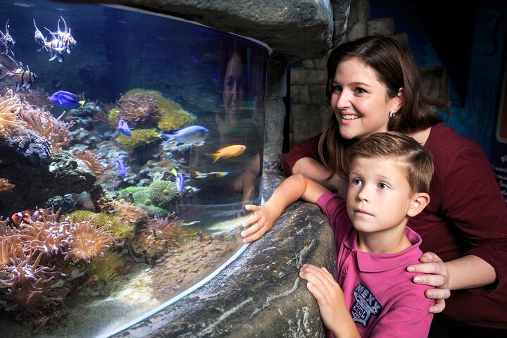 SEA LIFE Timmendorfer Strand Admission Ticket