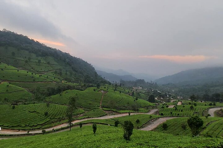 4 Nights Private Deluxe Tour Cochin/Munnar/Thekkady/Houseboat