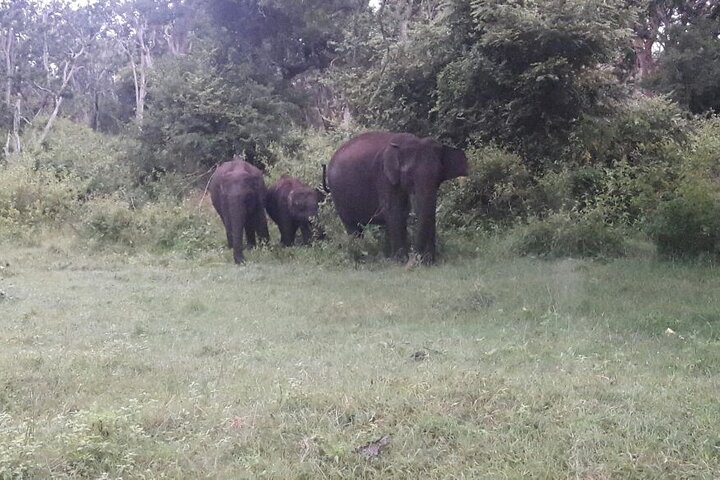 4 Nights Private Deluxe Tour Cochin/Munnar/Thekkady/Houseboat