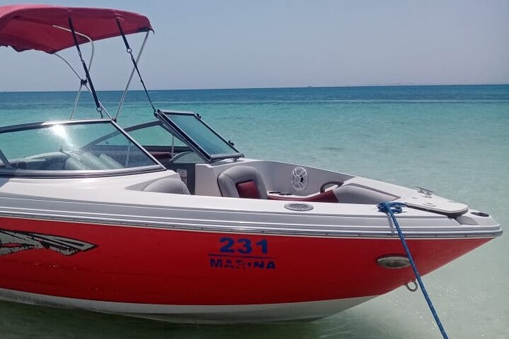 PRIVATE! | 4-hour Speed Boat Trip | Swim With Dolphins, Snorkeling & Island