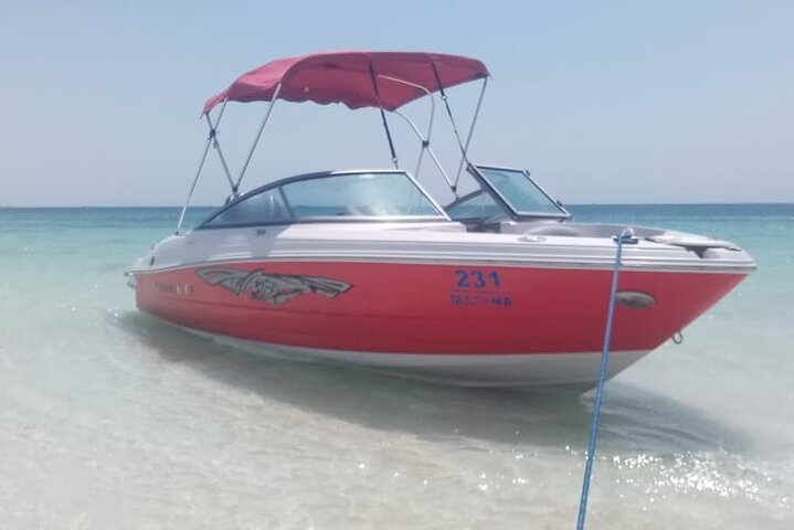 PRIVATE! | 4-hour Speed Boat Trip | Swim With Dolphins, Snorkeling & Island