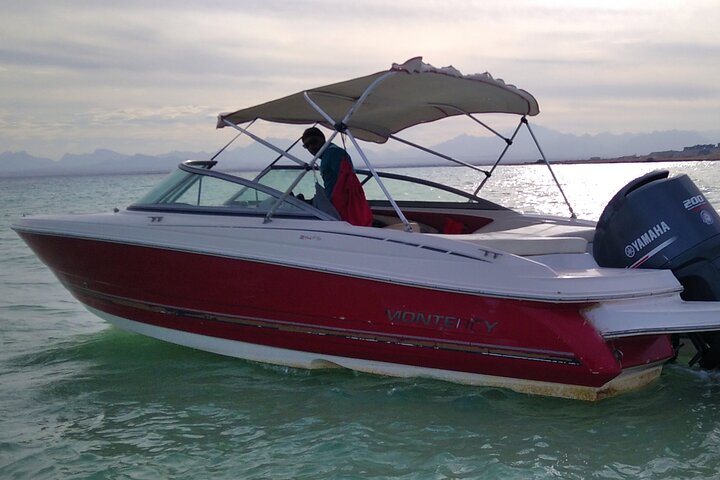 PRIVATE! | 4-hour Speed Boat Trip | Swim With Dolphins, Snorkeling & Island
