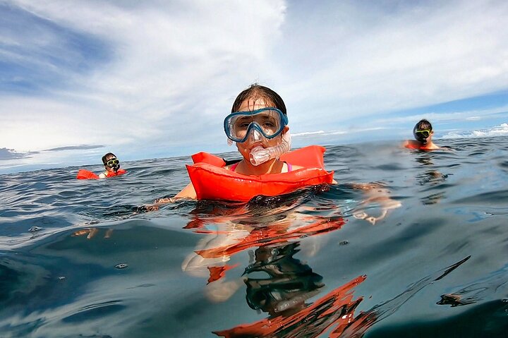Pacheco Tours - Snorkeling Tour in Caño Island from Drake Bay