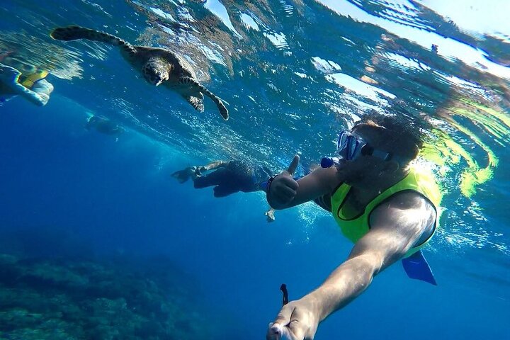 Pacheco Tours - Snorkeling Tour in Caño Island from Drake Bay