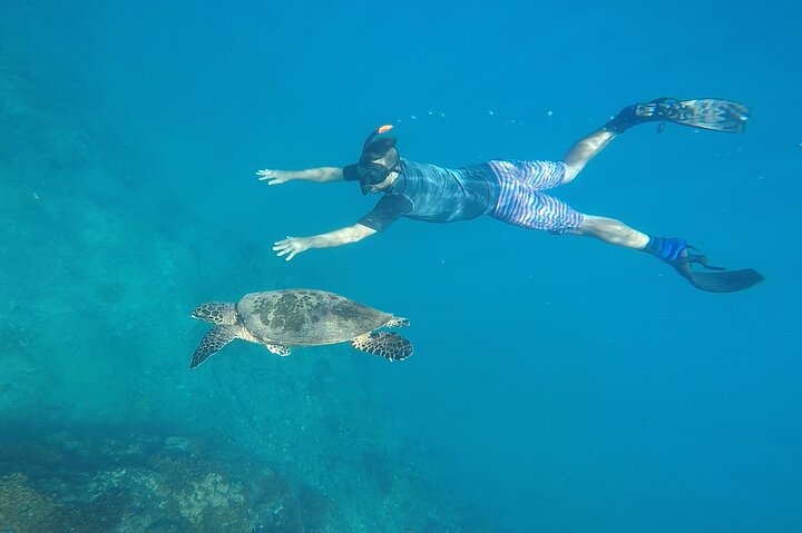 Pacheco Tours - Snorkeling Tour in Caño Island from Drake Bay