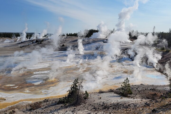 Best in the West Yellowstone Private Tour