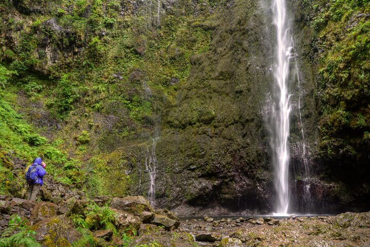 Caldeirão Verde Levada (PR 9) - Guided Madeira Levada Walk