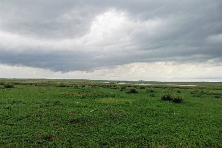 Full-Day Private Tour in Xilamuren Grassland with Lunch