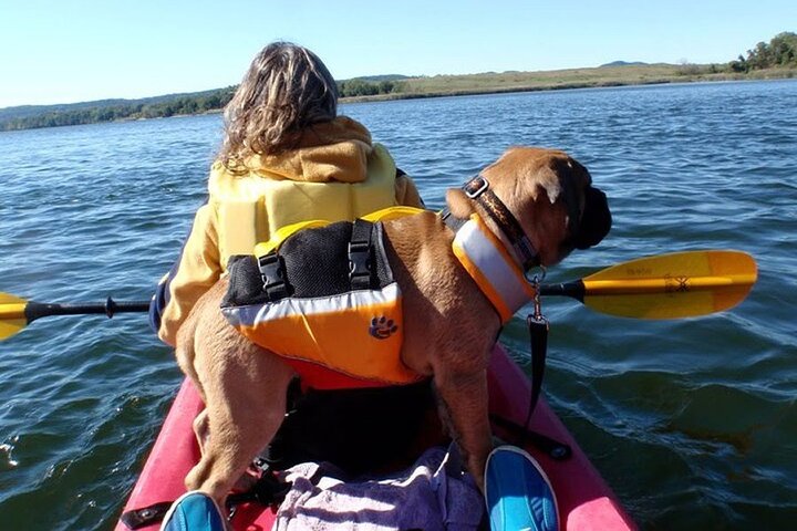 Tandem Kayak Rental in Rehoboth Bay