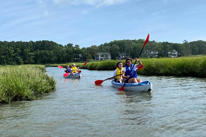 Guided Kayak Excursion Rehoboth Back Bay