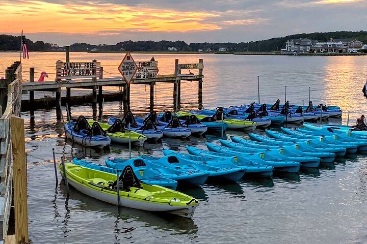 Guided Kayak Excursion Rehoboth Back Bay