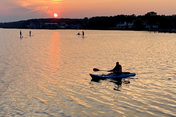 Guided Kayak Excursion Rehoboth Back Bay